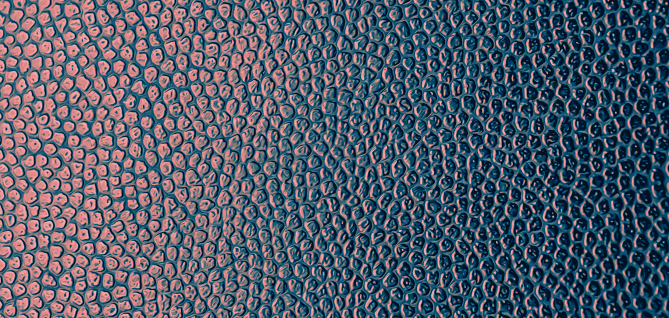 Blog Featured Images