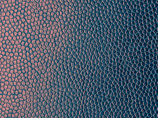 Blog Featured Images